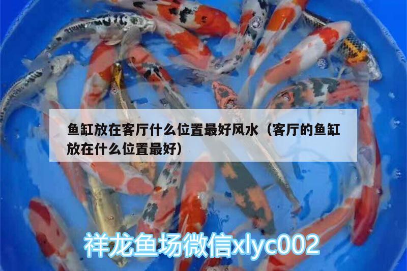 魚(yú)缸放在客廳什么位置最好風(fēng)水（客廳的魚(yú)缸放在什么位置最好）