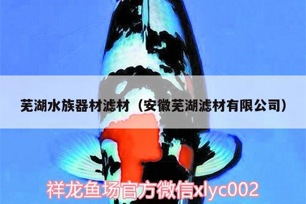 蕪湖水族器材濾材（安徽蕪湖濾材有限公司） 七彩神仙魚 第1張