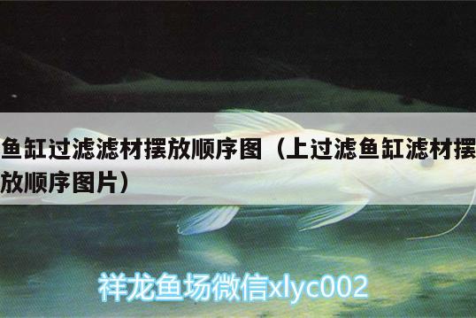 魚缸過濾濾材擺放順序圖（上過濾魚缸濾材擺放順序圖片） 生態(tài)瓶/創(chuàng)意缸/桌面微景缸 第2張