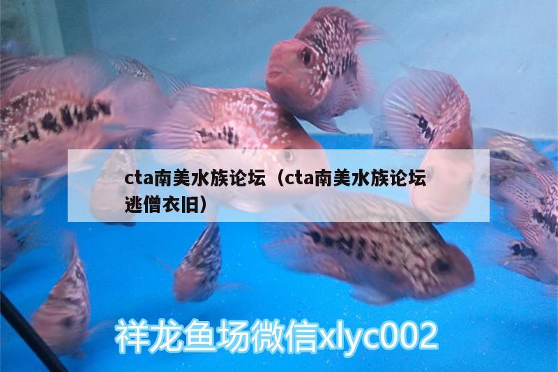 cta南美水族論壇（cta南美水族論壇逃僧衣舊）