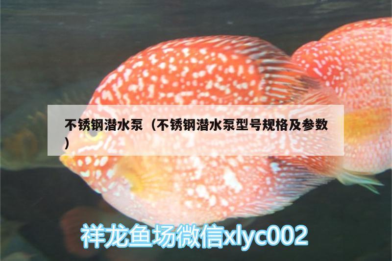 不銹鋼潛水泵（不銹鋼潛水泵型號(hào)規(guī)格及參數(shù)） 斑馬鴨嘴魚苗 第2張