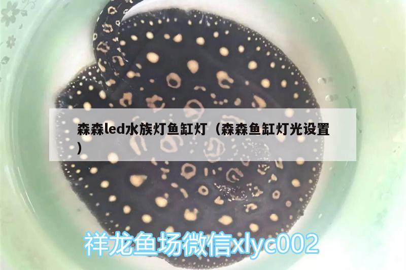 森森led水族燈魚缸燈（森森魚缸燈光設置） 圣菲埃及魚 第1張