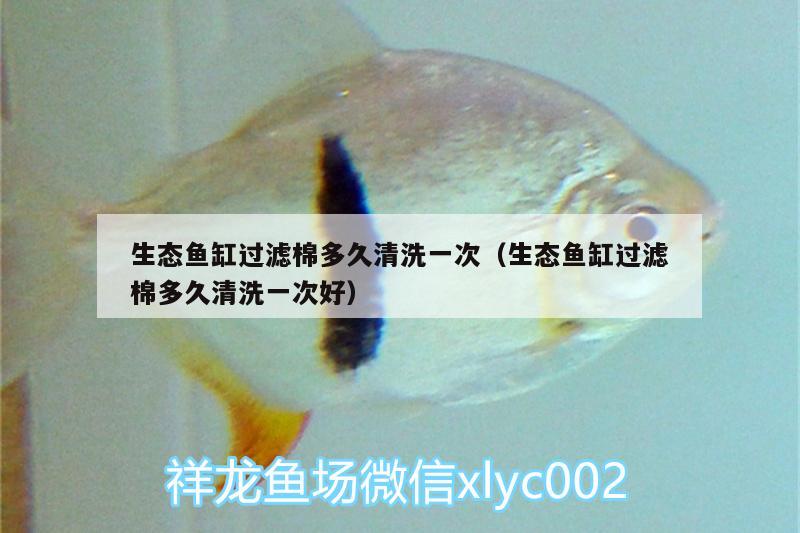 生態(tài)魚缸過濾棉多久清洗一次（生態(tài)魚缸過濾棉多久清洗一次好）