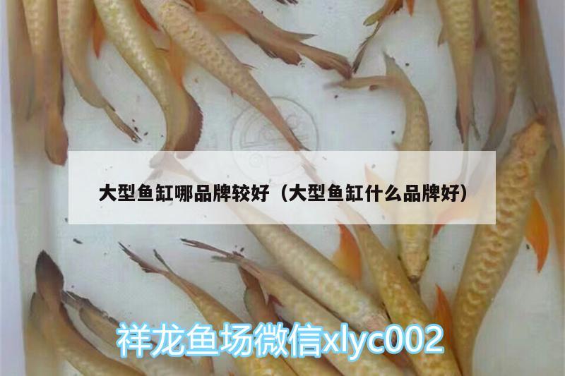 大型魚(yú)缸哪品牌較好（大型魚(yú)缸什么品牌好）