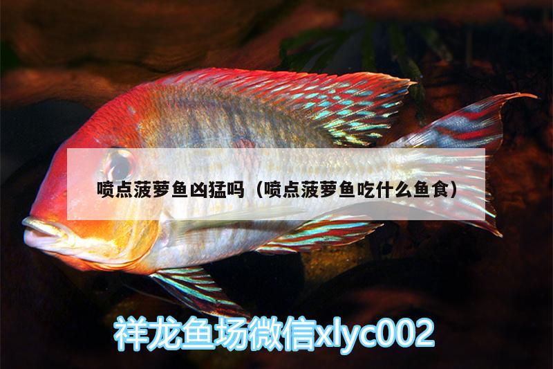 噴點菠蘿魚兇猛嗎（噴點菠蘿魚吃什么魚食）