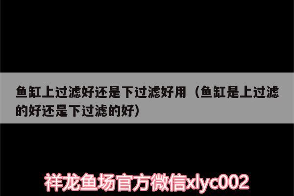 魚缸上過濾好還是下過濾好用（魚缸是上過濾的好還是下過濾的好） 白子關(guān)刀魚 第1張