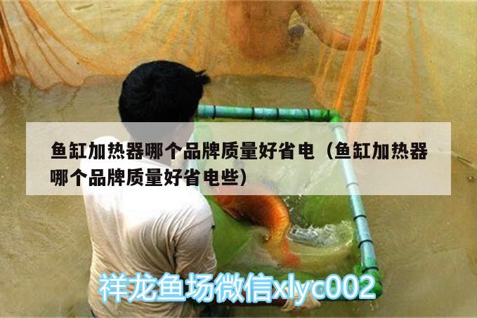 魚缸加熱器哪個品牌質(zhì)量好省電（魚缸加熱器哪個品牌質(zhì)量好省電些） 白子銀龍魚苗 第1張