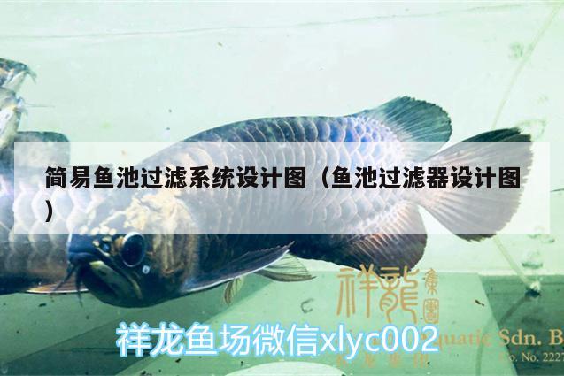 簡(jiǎn)易魚池過(guò)濾系統(tǒng)設(shè)計(jì)圖（魚池過(guò)濾器設(shè)計(jì)圖） 祥龍金禾金龍魚