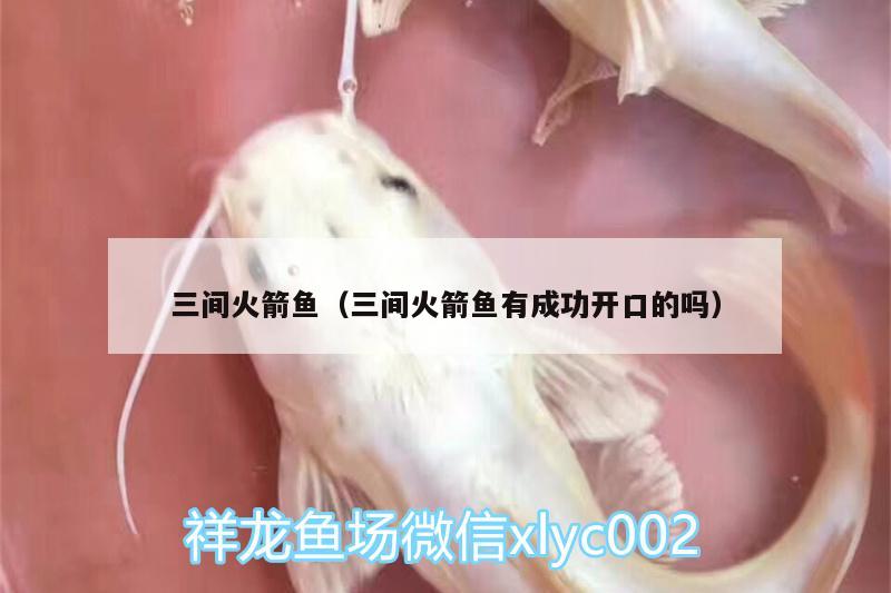 三間火箭魚（三間火箭魚有成功開口的嗎）