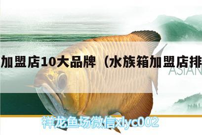 水族加盟店10大品牌（水族箱加盟店排行榜） 魚缸/水族箱 第2張