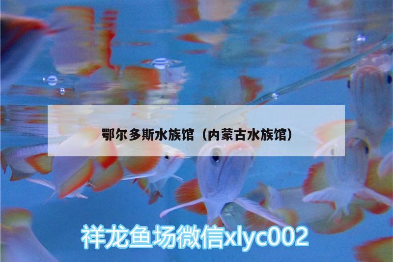 鄂爾多斯水族館（內(nèi)蒙古水族館） 祥龍傳奇品牌魚缸