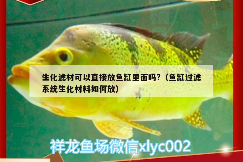 生化濾材可以直接放魚缸里面嗎?（魚缸過濾系統(tǒng)生化材料如何放） 白子關(guān)刀魚 第2張