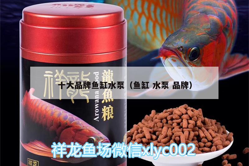 十大品牌魚缸水泵（魚缸水泵品牌）