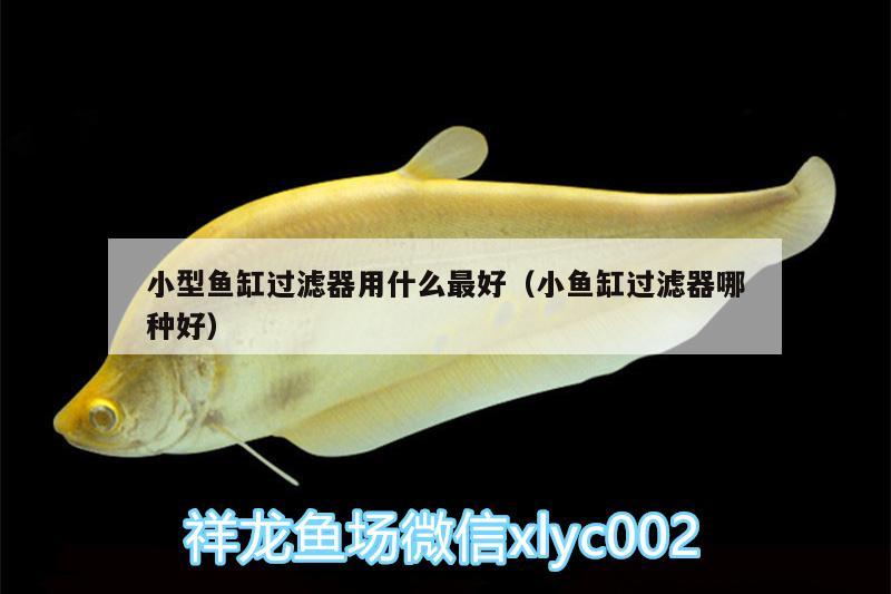 小型魚缸過濾器用什么最好（小魚缸過濾器哪種好） PH調(diào)節(jié)劑 第2張