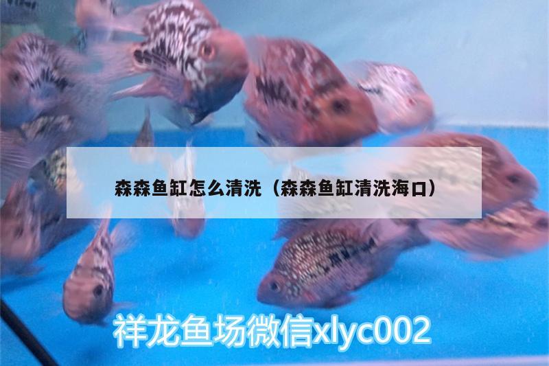 森森魚缸怎么清洗（森森魚缸清洗?？冢? title=