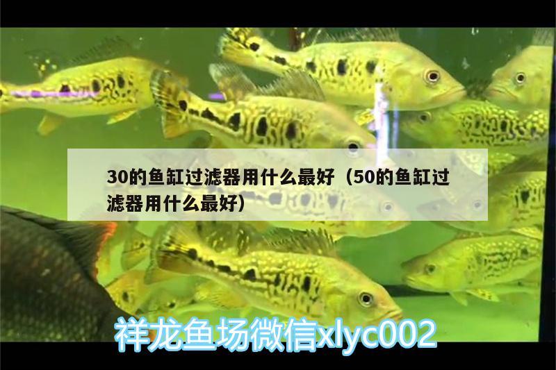 30的魚缸過濾器用什么最好（50的魚缸過濾器用什么最好）