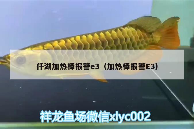 仟湖加熱棒報警e3（加熱棒報警E3）