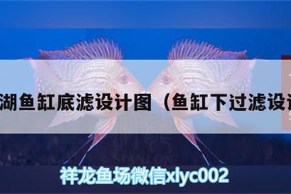 仟湖魚缸底濾設(shè)計(jì)圖（魚缸下過濾設(shè)計(jì)）