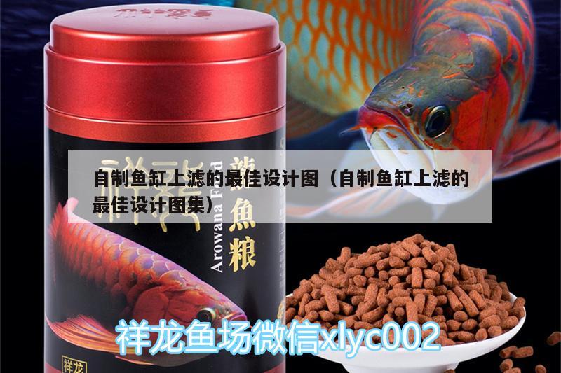 自制魚缸上濾的最佳設計圖（自制魚缸上濾的最佳設計圖集）