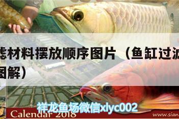 魚缸過濾材料擺放順序圖片（魚缸過濾材料擺放順序圖解） 招財戰(zhàn)船魚 第1張