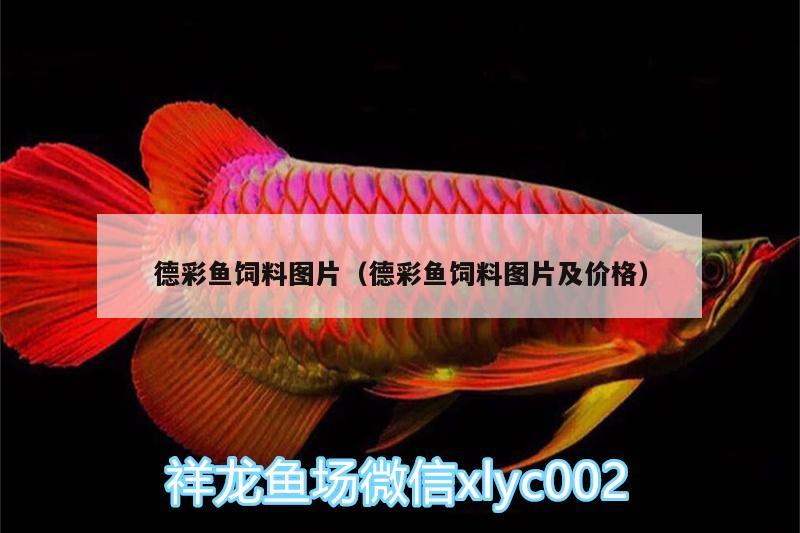 德彩魚飼料圖片（德彩魚飼料圖片及價格） 肥料 第1張