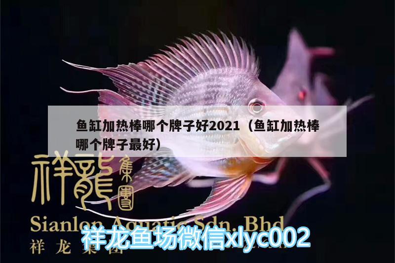 魚缸加熱棒哪個牌子好2021（魚缸加熱棒哪個牌子最好） 魚糧魚藥