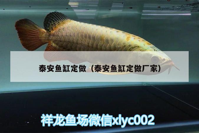 泰安魚缸定做（泰安魚缸定做廠家）