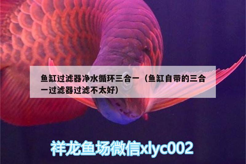 魚缸過濾器凈水循環(huán)三合一（魚缸自帶的三合一過濾器過濾不太好）