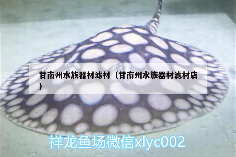 甘南州水族器材濾材（甘南州水族器材濾材店） 印尼虎苗 第1張