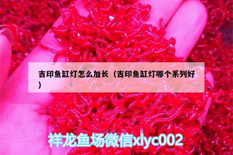 吉印魚缸燈怎么加長（吉印魚缸燈哪個系列好） 吉印水族 第2張