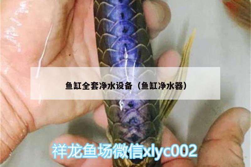 魚缸全套凈水設(shè)備（魚缸凈水器） 廣州觀賞魚批發(fā)市場(chǎng) 第1張