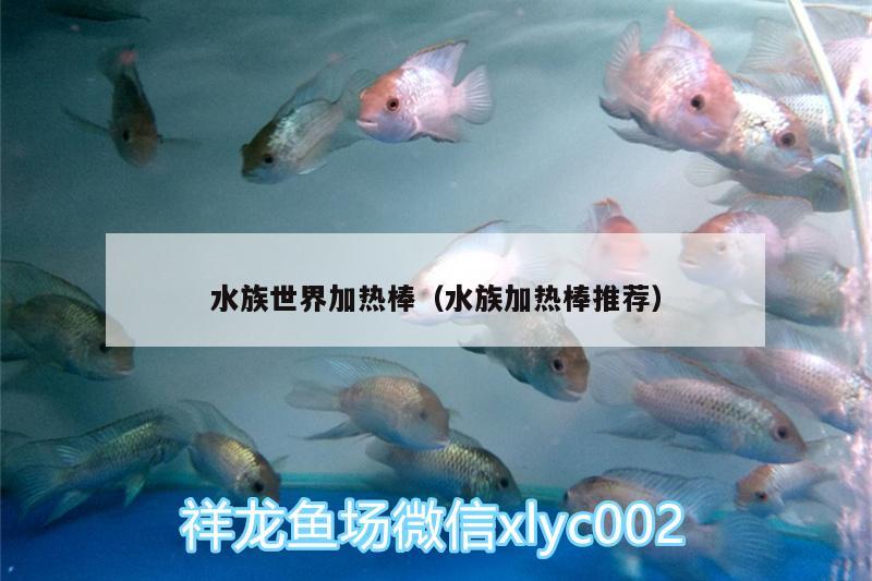 水族世界加熱棒（水族加熱棒推薦）