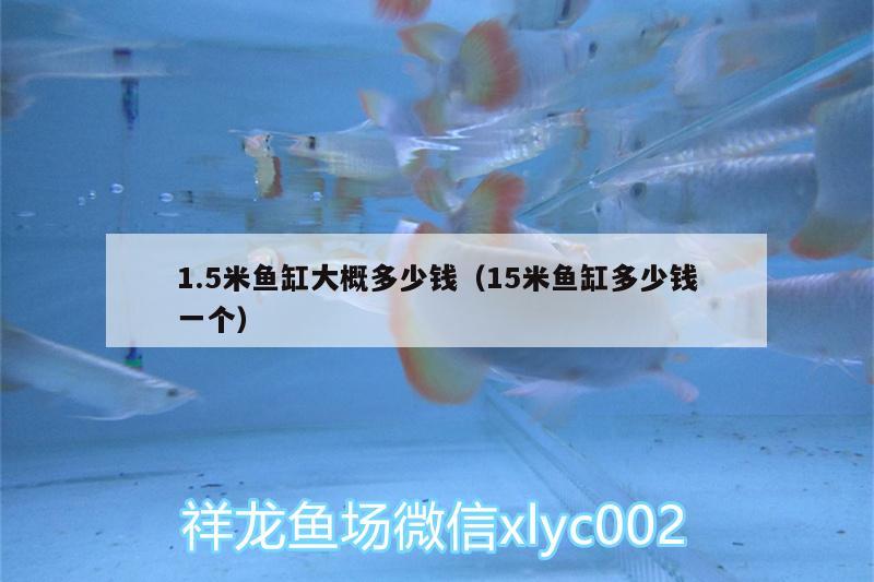 1.5米魚缸大概多少錢（15米魚缸多少錢一個）