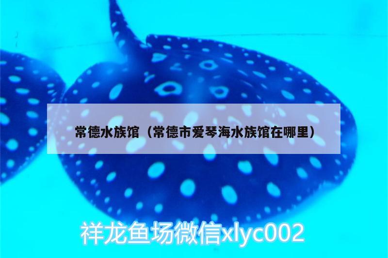 常德水族館（常德市愛琴海水族館在哪里） 福魟魟魚 第1張