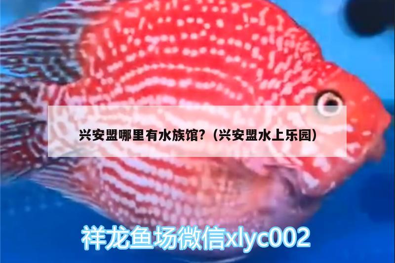 興安盟哪里有水族館?（興安盟水上樂(lè)園） 孵化器