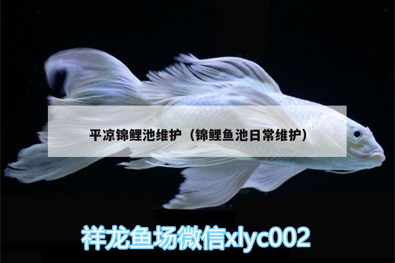 平?jīng)鲥\鯉池維護(hù)（錦鯉魚池日常維護(hù)） 魚缸等水族設(shè)備 第2張