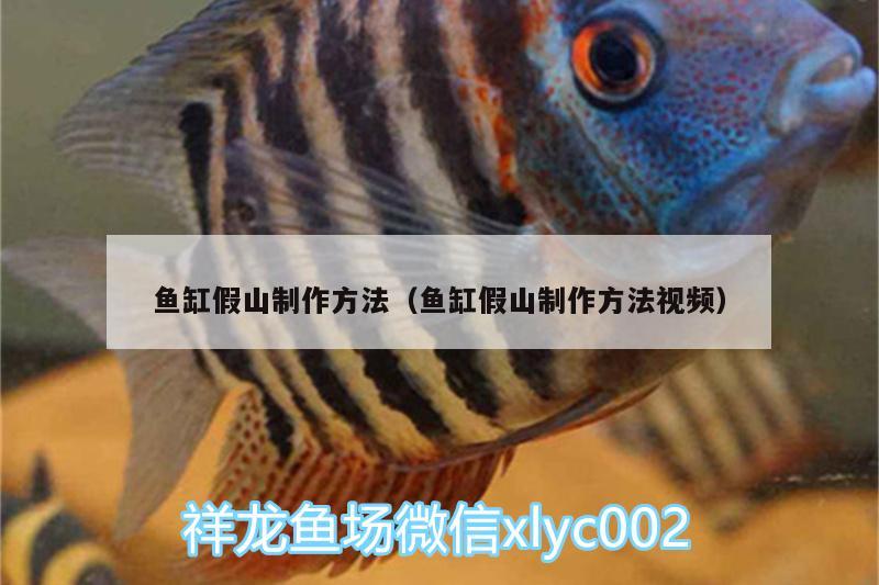 魚缸假山制作方法（魚缸假山制作方法視頻）