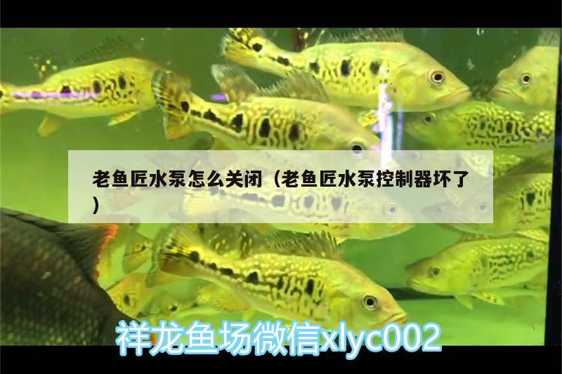 老魚匠水泵怎么關閉（老魚匠水泵控制器壞了） 老魚匠