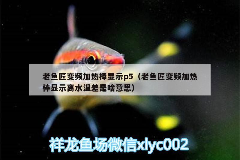 老魚匠變頻加熱棒顯示p5（老魚匠變頻加熱棒顯示離水溫差是啥意思） 老魚匠 第2張