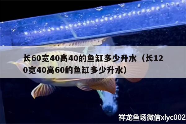 長60寬40高40的魚缸多少升水（長120寬40高60的魚缸多少升水） 水族世界