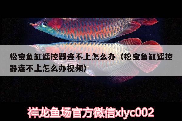 松寶魚缸遙控器連不上怎么辦（松寶魚缸遙控器連不上怎么辦視頻）