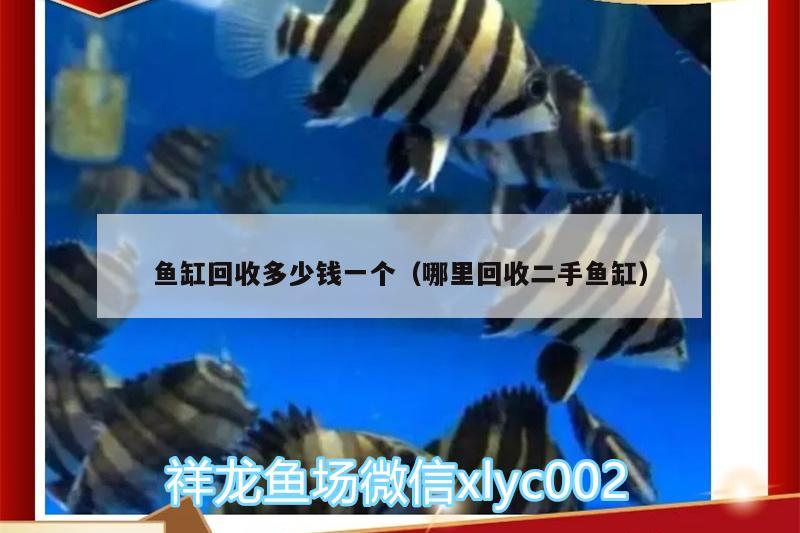 魚缸回收多少錢一個（哪里回收二手魚缸） 慈雕魚