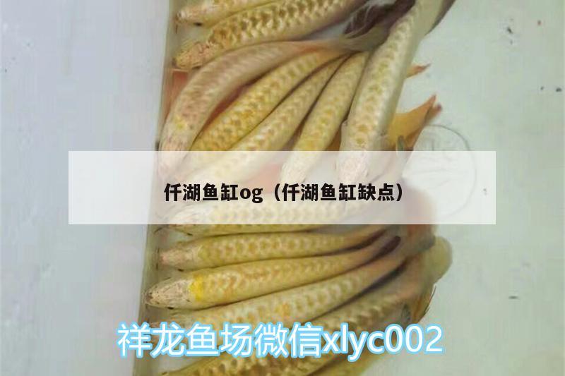 仟湖魚缸og（仟湖魚缸缺點）