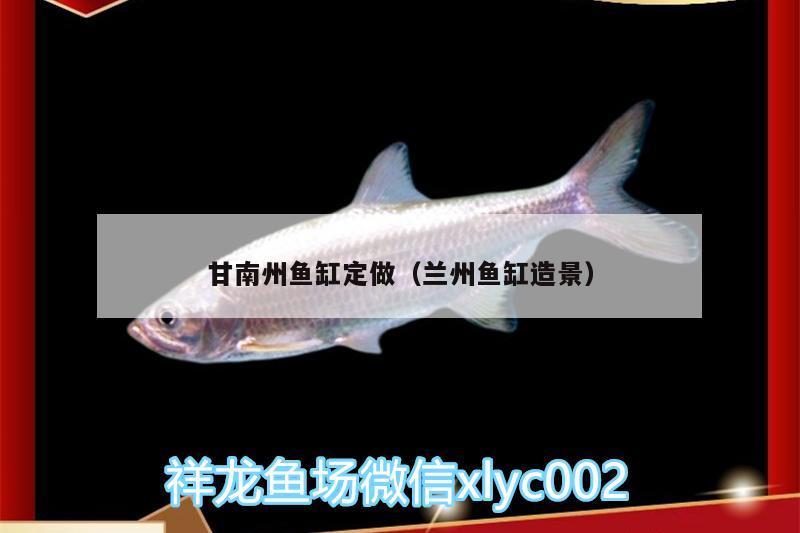 甘南州魚缸定做（蘭州魚缸造景） 白子銀龍魚苗 第3張