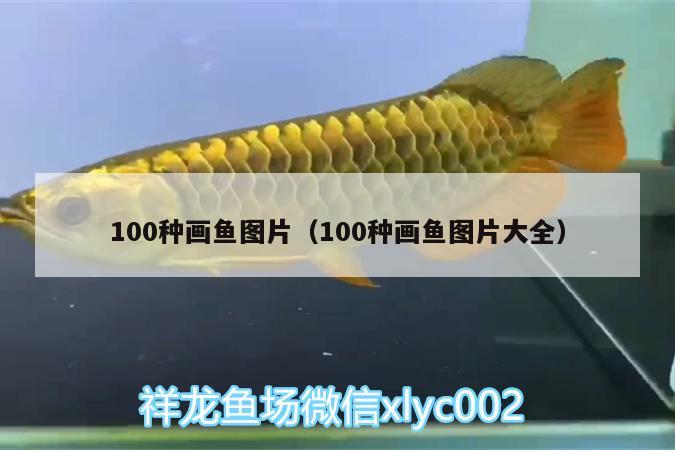 100種畫魚圖片（100種畫魚圖片大全） 一眉道人魚 第3張