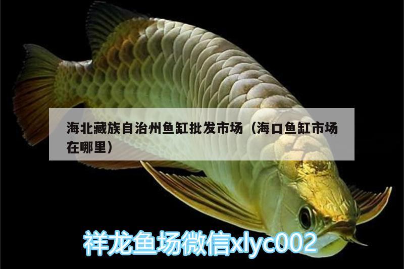 海北藏族自治州魚缸批發(fā)市場(chǎng)（?？隰~缸市場(chǎng)在哪里）