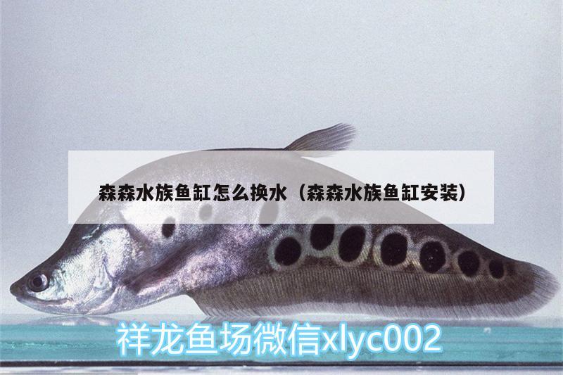 森森水族魚缸怎么換水（森森水族魚缸安裝） 水族用品