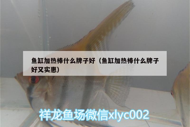 魚缸加熱棒什么牌子好（魚缸加熱棒什么牌子好又實(shí)惠）