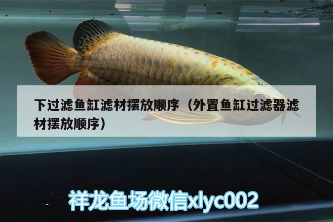 下過濾魚缸濾材擺放順序（外置魚缸過濾器濾材擺放順序）