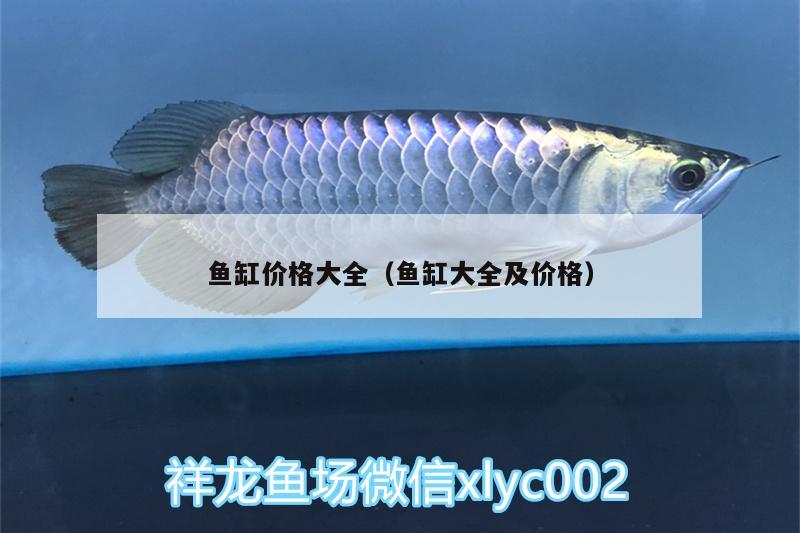 魚缸價(jià)格大全（魚缸大全及價(jià)格） 夢幻雷龍魚